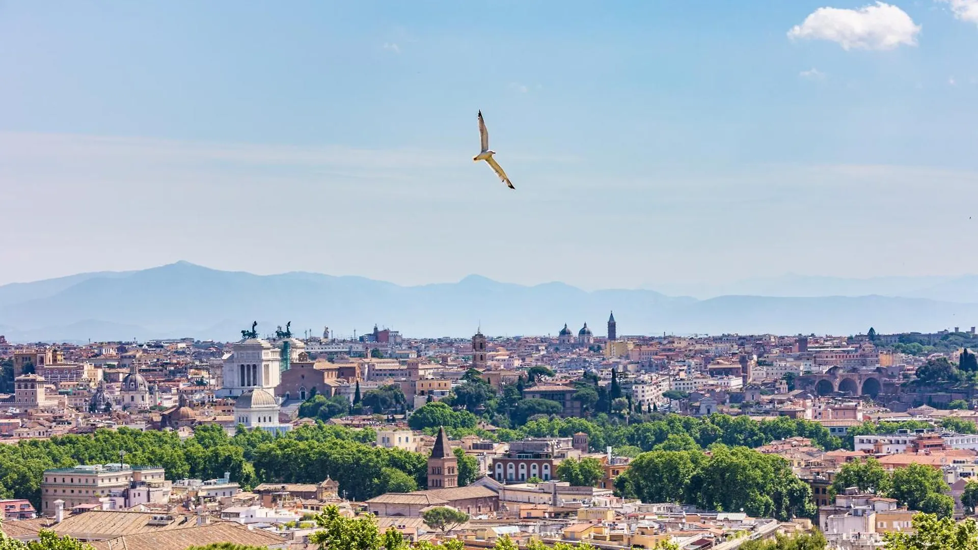 Trastevere In Love Roma Apartamento